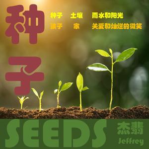 种子Seeds