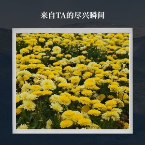 炊烟煮酒