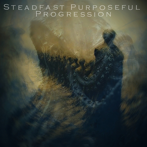 Steadfast Purposeful Progression