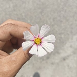 老婆陪我过生日那天