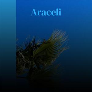 Araceli
