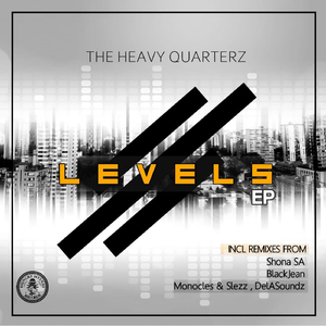 Levels (Shona SA Remix)