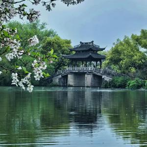 红酥手，黄滕酒