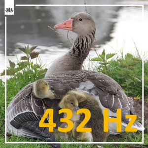432 Hz 瞑想 - 痛みの解放と鳥たちの雨