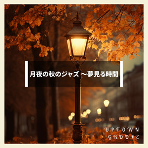 Cool Night's Calming Currents