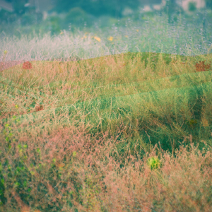 Taking the Train Across the Valley and Through the Hills, Unsure About Your Trip but Coming out the End of a Long Tunnel You See a Slow River in a Narrow Pass, And There’s Wildlife Enjoying a Calm Scene, Which Settles Your Mind