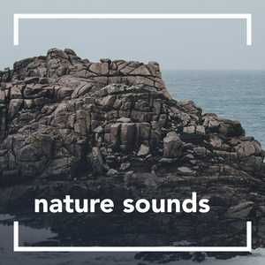 Rain And Thunder Sounds (Original Mix)