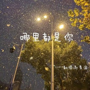 哪里都是你