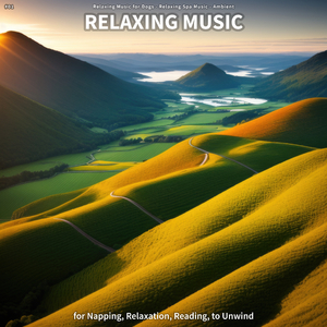 Relaxing Music for Learning