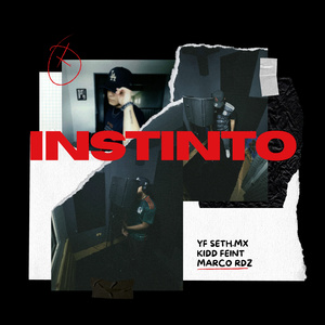 INSTINTO