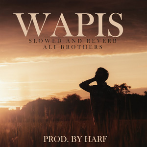 Wapis - Lofi