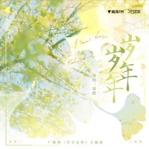 岁岁年年