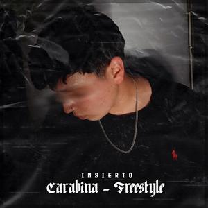 Carabina (Freestyle)