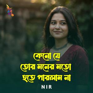 কেনো যে তোর মনের মতো হতে পারলাম না