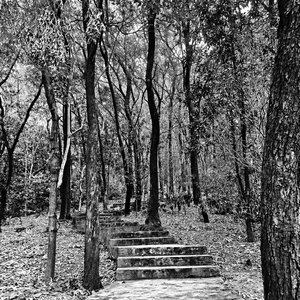 A Faint Path Through Static and Growth