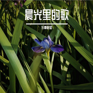 晨光里的歌