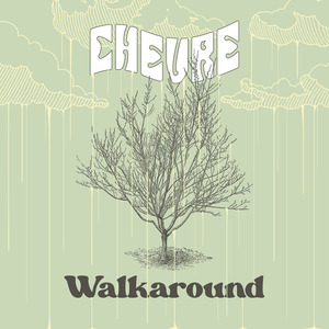 Walkaround