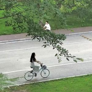 复刻梦