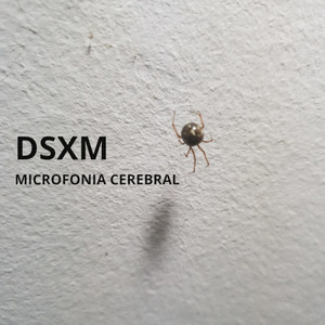 Microfonia Cerebral