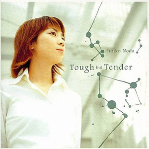 wonder tender