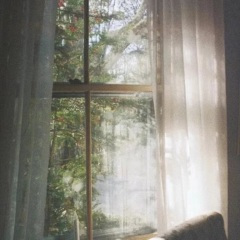 我即将独自出发 (0.8x版)