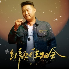 红颜难相会(DJ默涵)