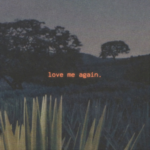 Love Me Again
