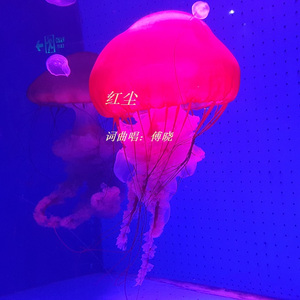 红尘  摇滚版  词曲唱：傅晓