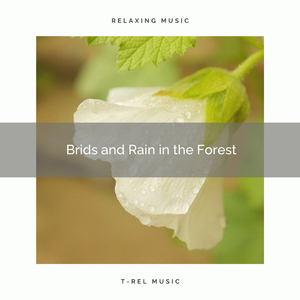 Nice and Meaningful Rain for You to Rest Now