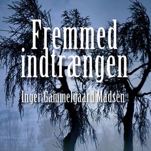 Fremmed indtrængen - Rolando Benito 3, del033