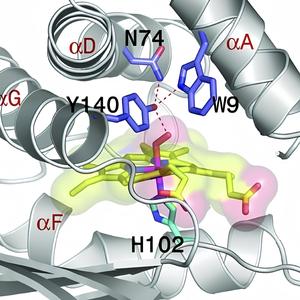 Hallucinogenic Angel