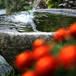 光をたずさえて