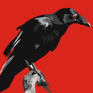 时候到溜 —黑鸟（Cover 吴吞）