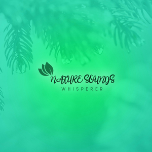 Kawartha Lakes Rains