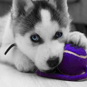 Задумался о мечте