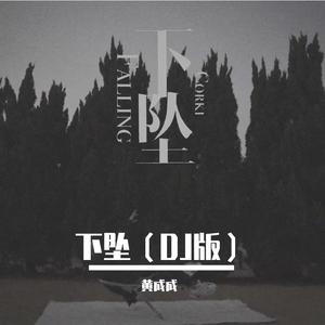 下坠（DJ版）