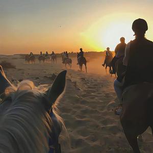 别笑了眼泪都掉了