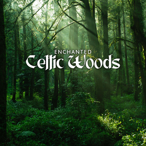 Into the Another World