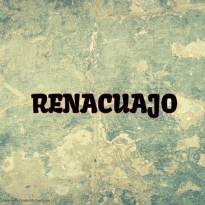 RENACUAJO