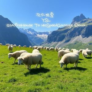 次仁拉索（YSL 120AfroHouse To 140SpeedBassline Remix）