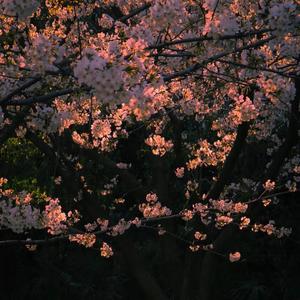 live on love （Prod by Neonmusic）