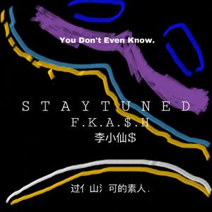 You Wanna Rap Like Me