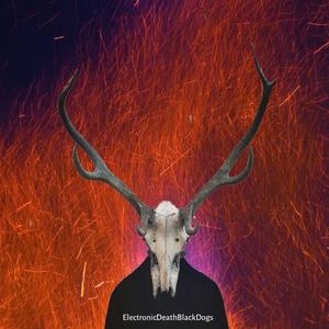 Abandoned and Destroyed