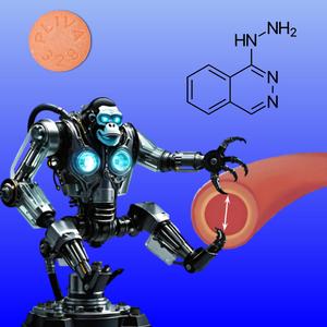 Hydralazine (Disco Version)