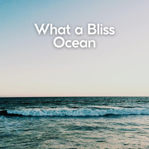 Accommodated Ocean