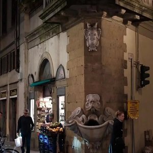 彗星尾巴的约定