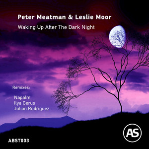 Waking up After the Dark Night (Julian Rodriguez Remix)