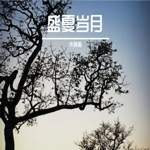 在这狂风呼啸的夜晚