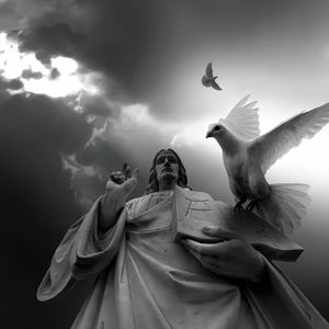 四平八稳 Flat Stable