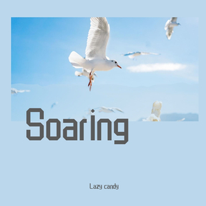 Soaring